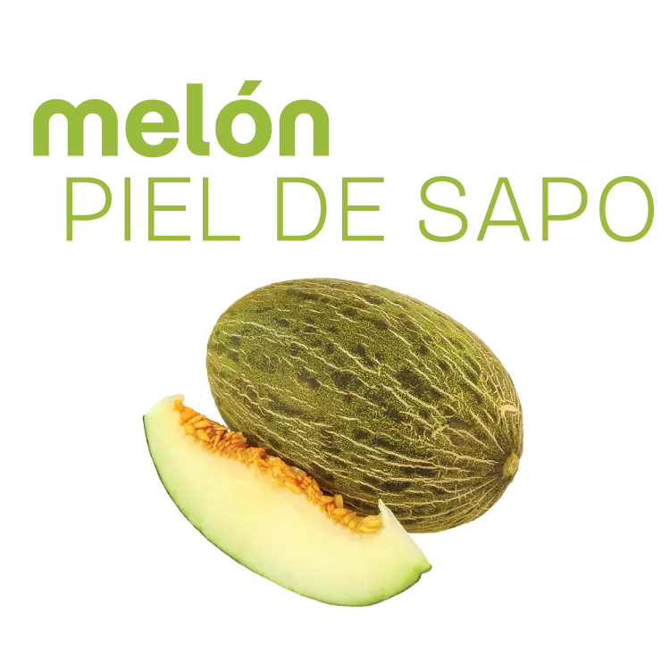 melón-piel de sapo-agrosuarez
