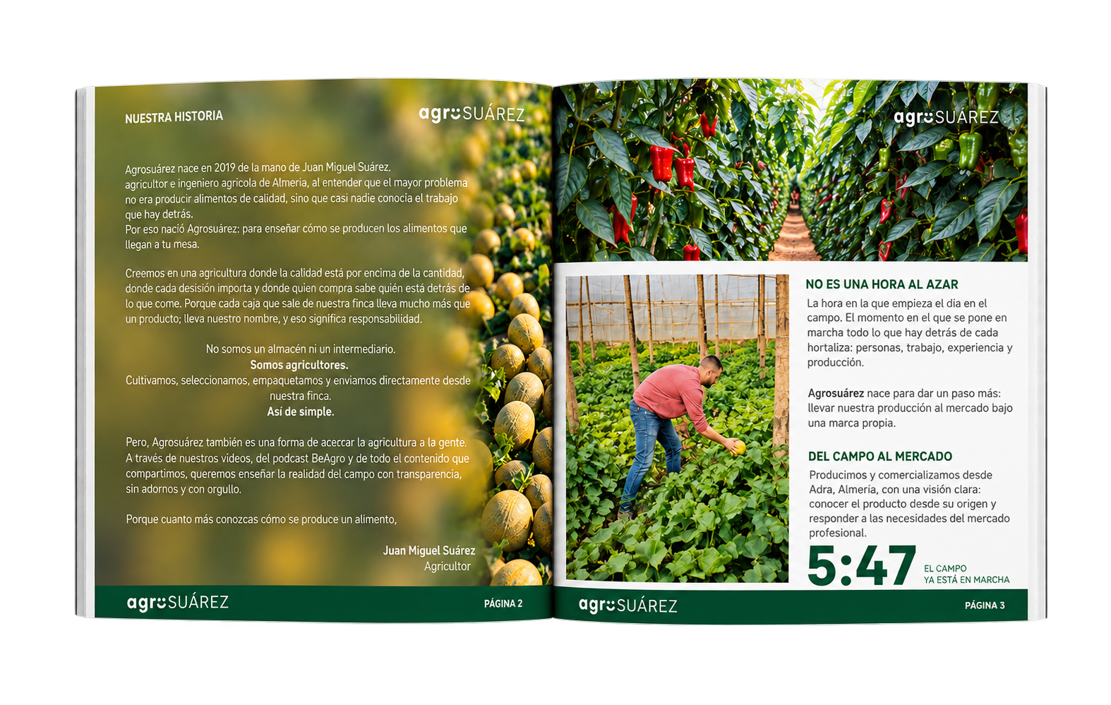 catalogo agrosuarez
